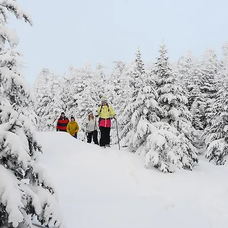Liftline Lodge-2